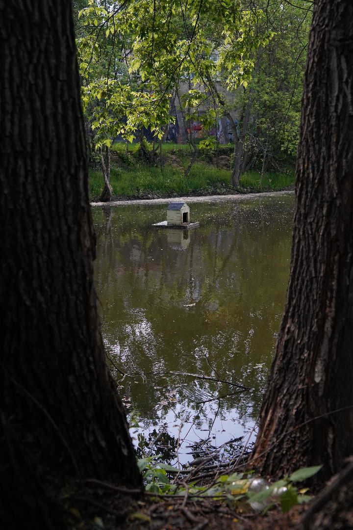 Егорьевск, Гуслица, утки