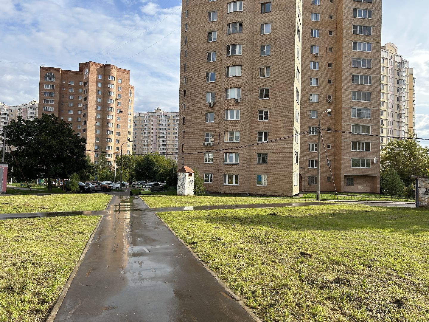 дороги, полив, Фрязино