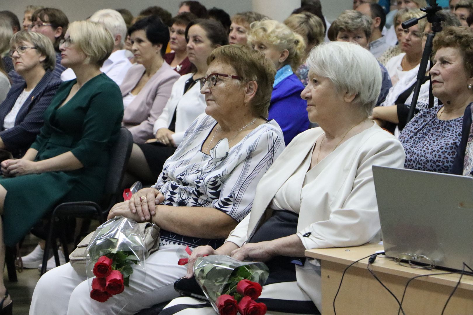 Серебряные Пруды, образование