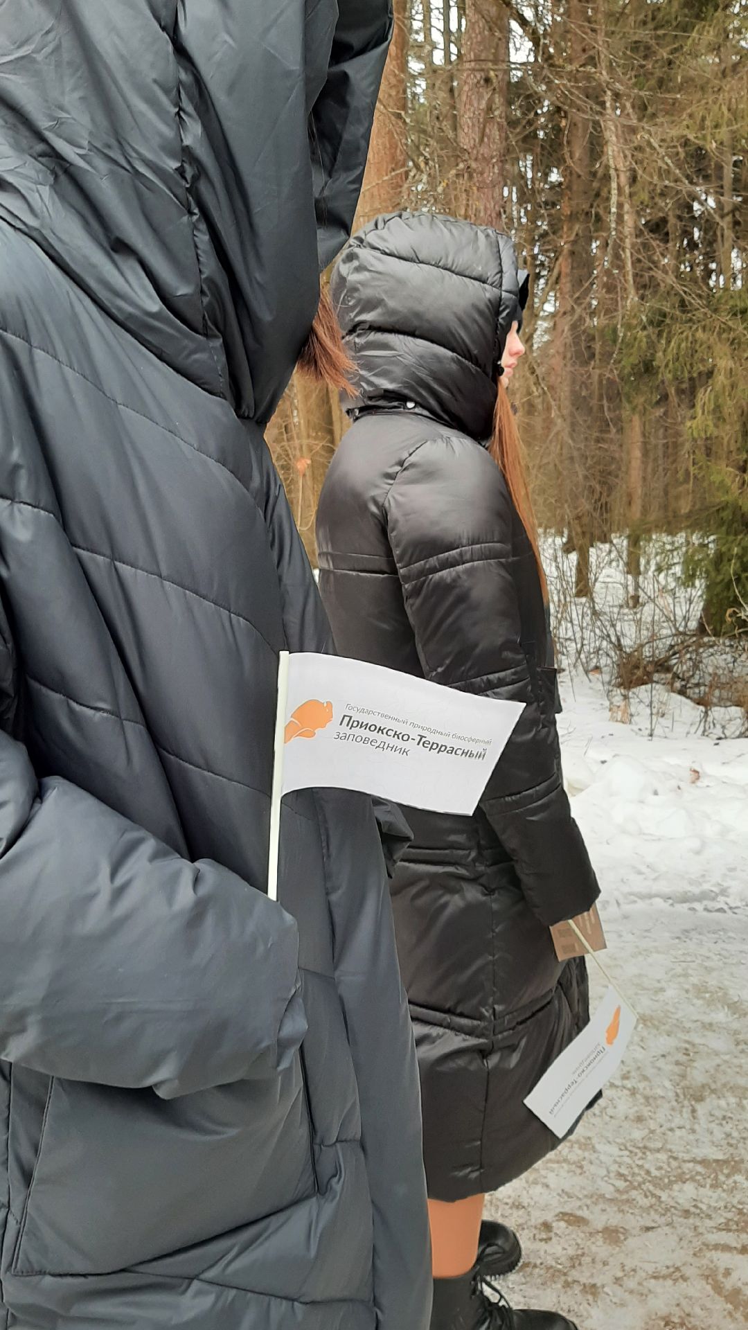 Серпухов, общество