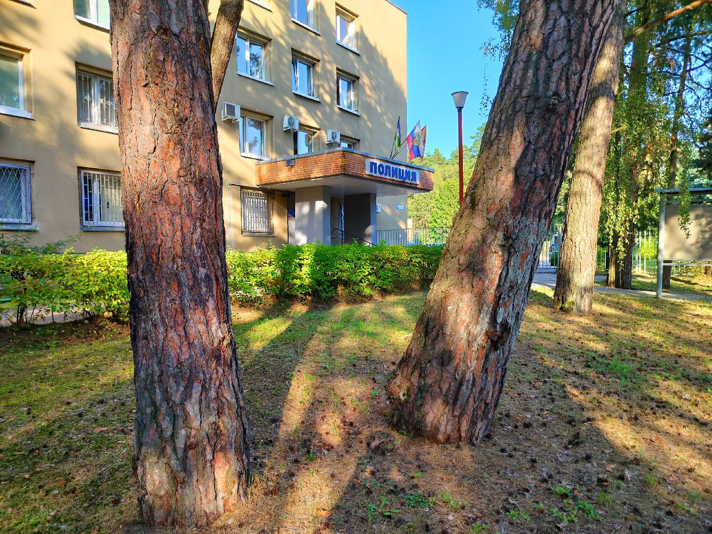 полиция, безопасность, кража, хранение запрещенных веществ, Протвино