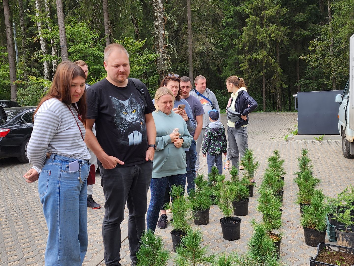 Питомник Хотьково. раздача кедра, Мытищи, лесопарк