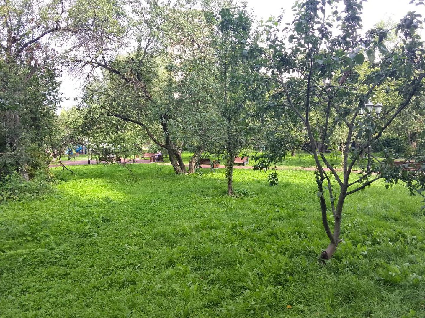 Долгопрудный, Яблоневый сад, благоустойство, асфальт, брусчатка