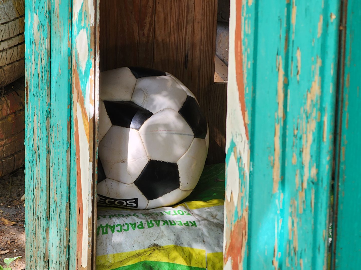 Егорьевск, домик, двор, дети,