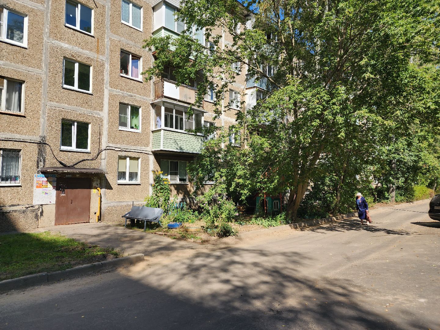 Егорьевск, домик, двор, дети,