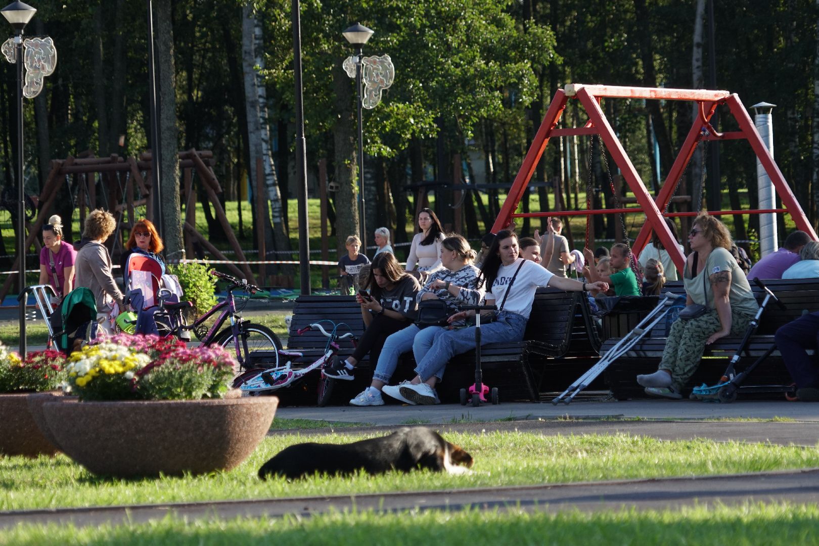 Егорьевск, квест, парк