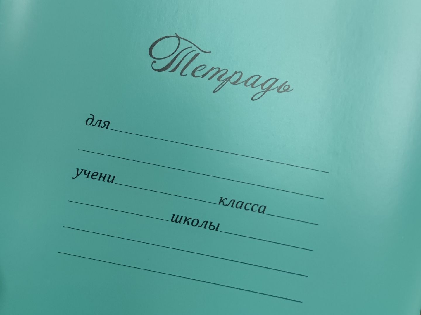 Поддержка малоимущих семей, Единая Россия, дети, Дубна