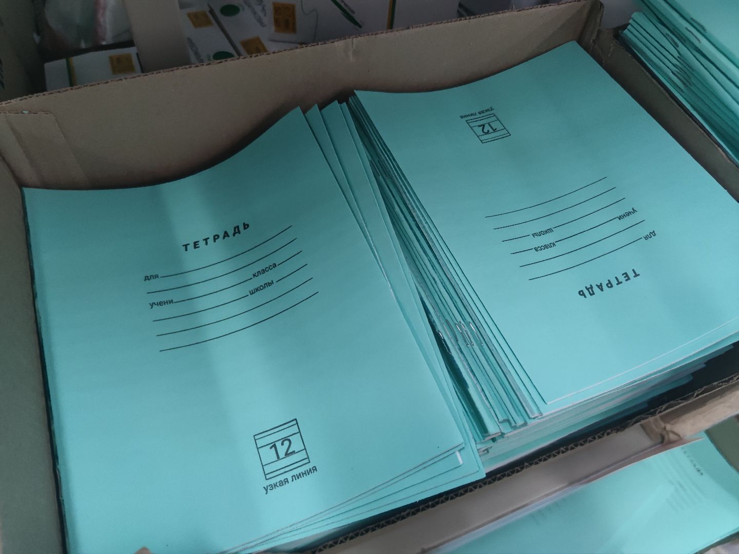 Поддержка малоимущих семей, Единая Россия, дети, Дубна