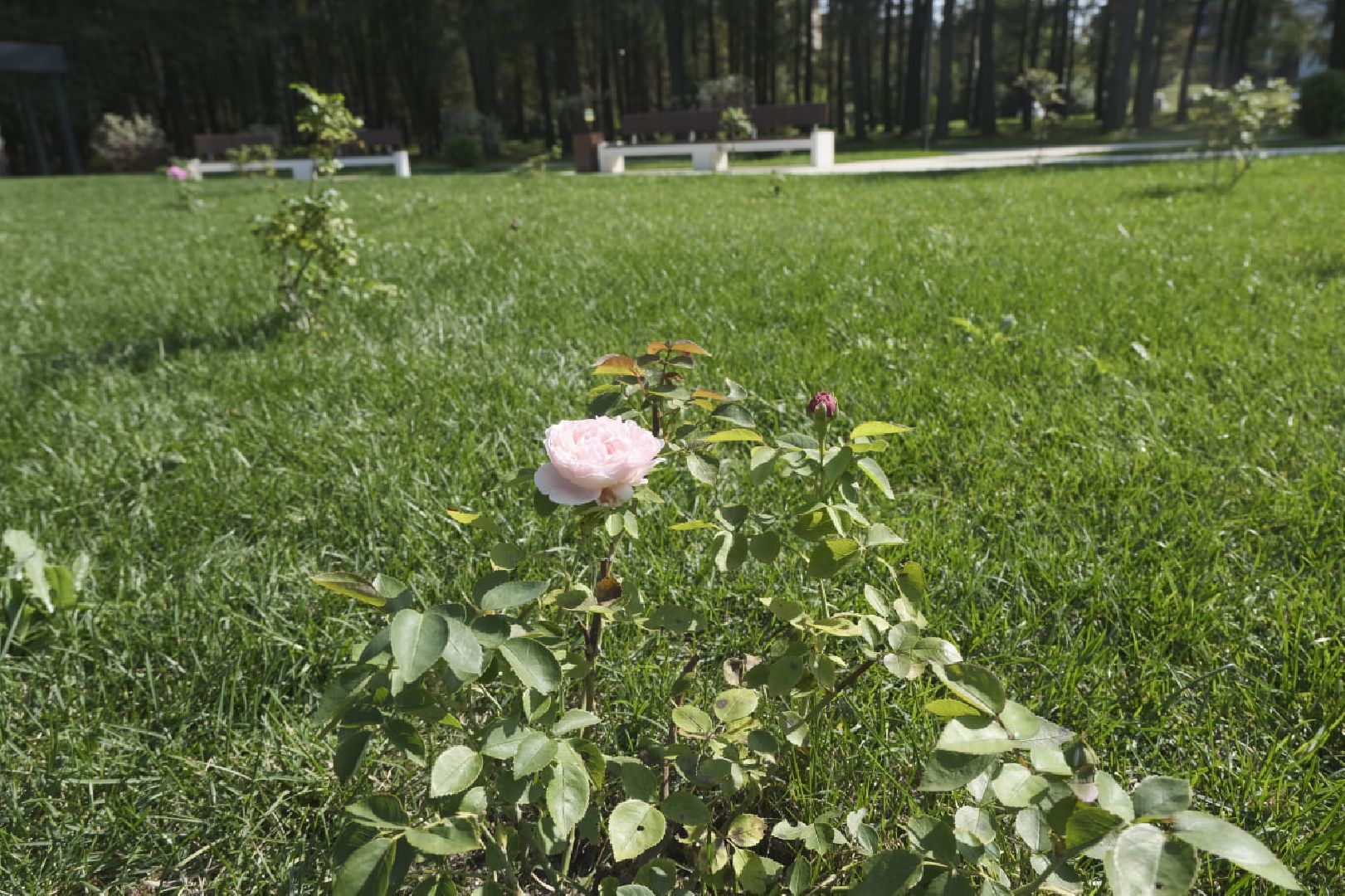 Пущино, благоустройство