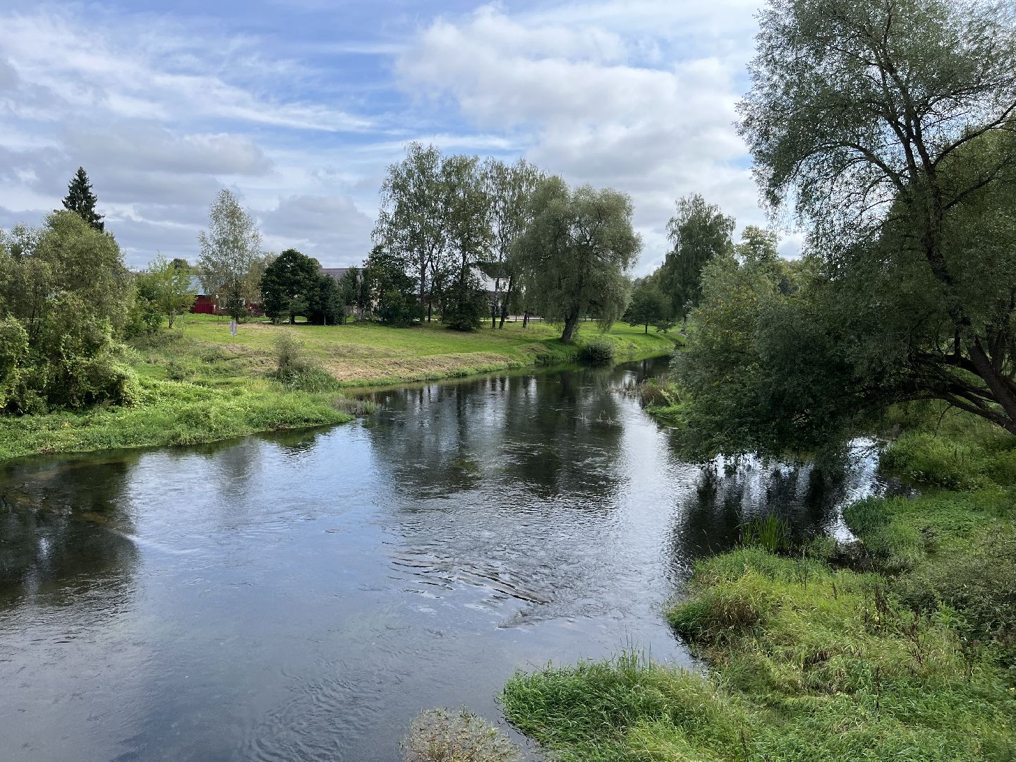 Верея, наро-фоминский городской округ, река Протва, экология, очистка реки, Андрей Воробьёв