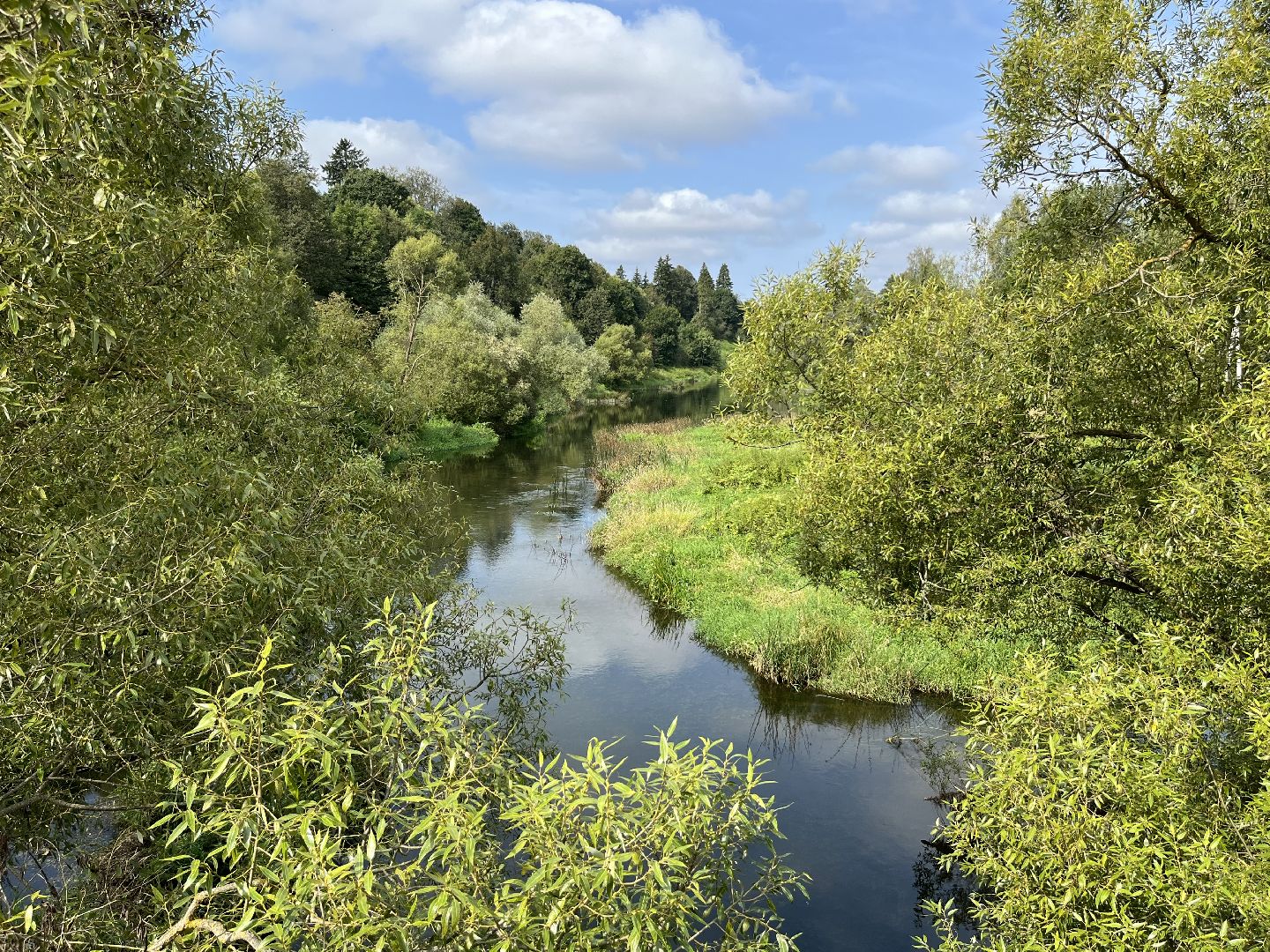 Верея, наро-фоминский городской округ, река Протва, экология, очистка реки, Андрей Воробьёв
