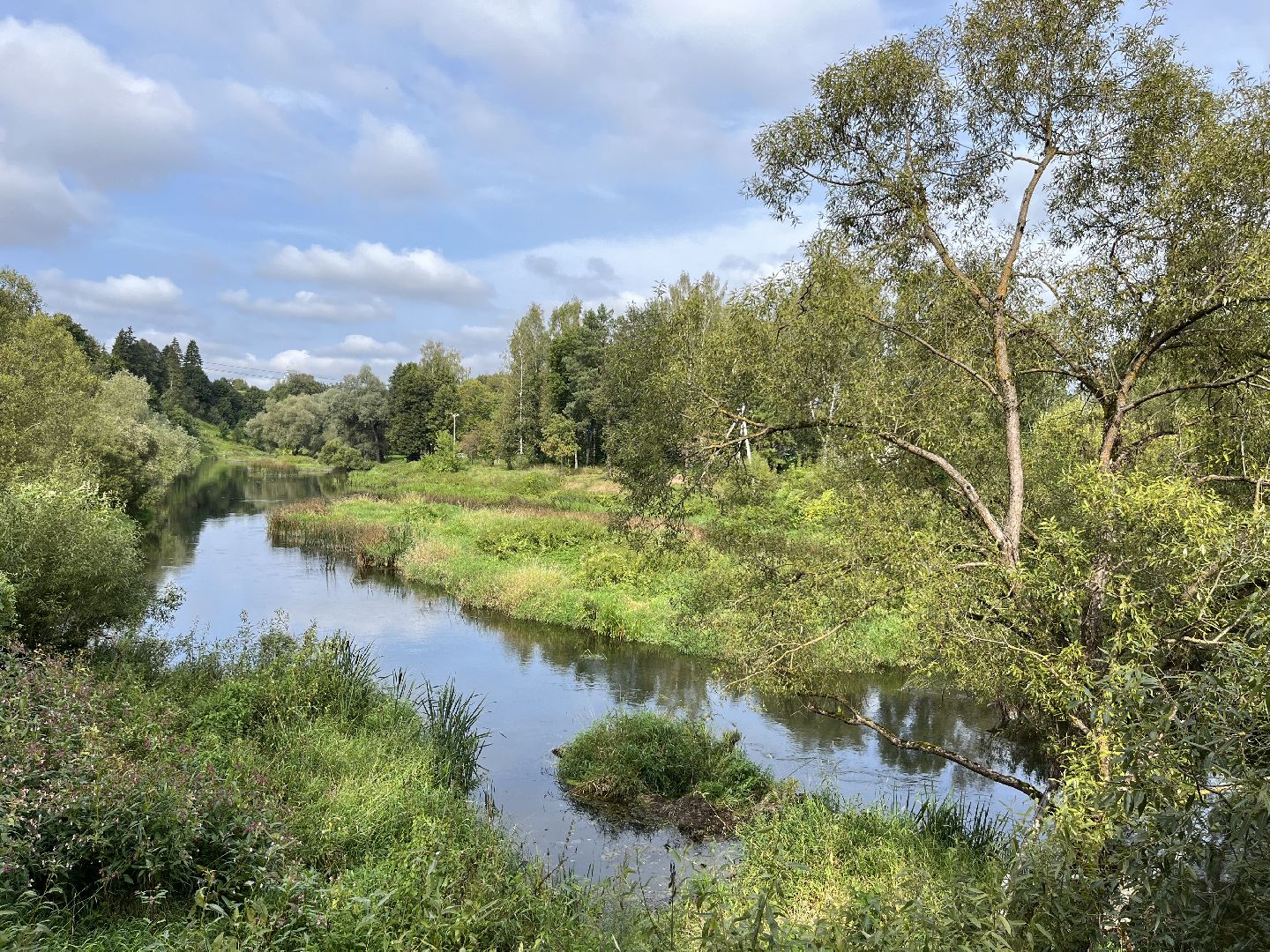 Верея, наро-фоминский городской округ, река Протва, экология, очистка реки, Андрей Воробьёв