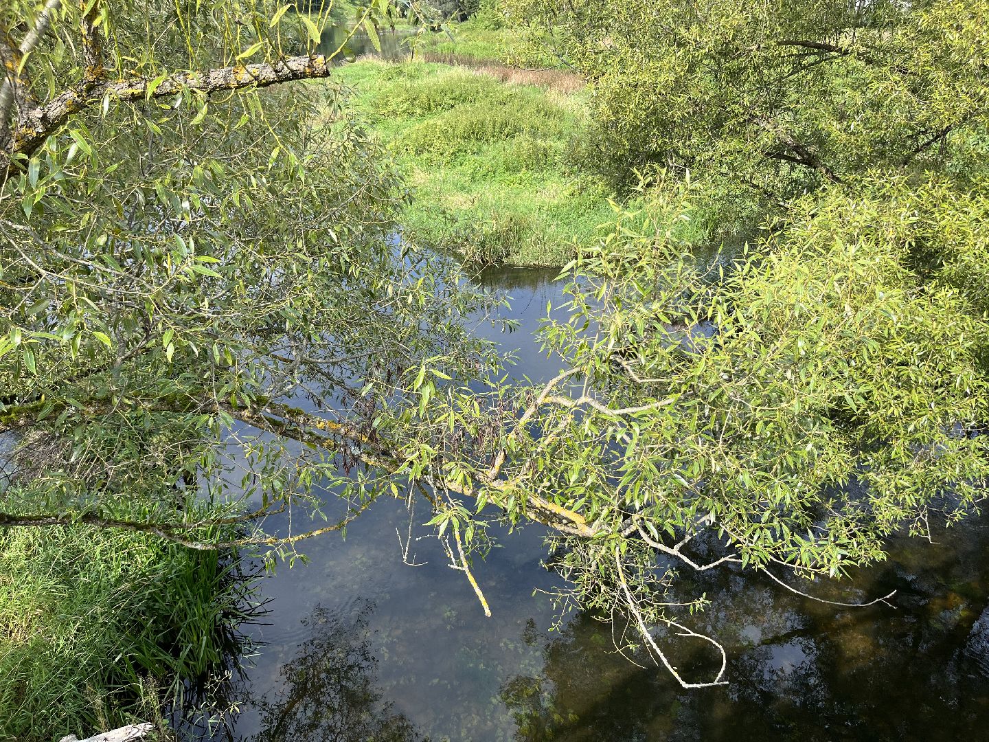 Верея, наро-фоминский городской округ, река Протва, экология, очистка реки, Андрей Воробьёв