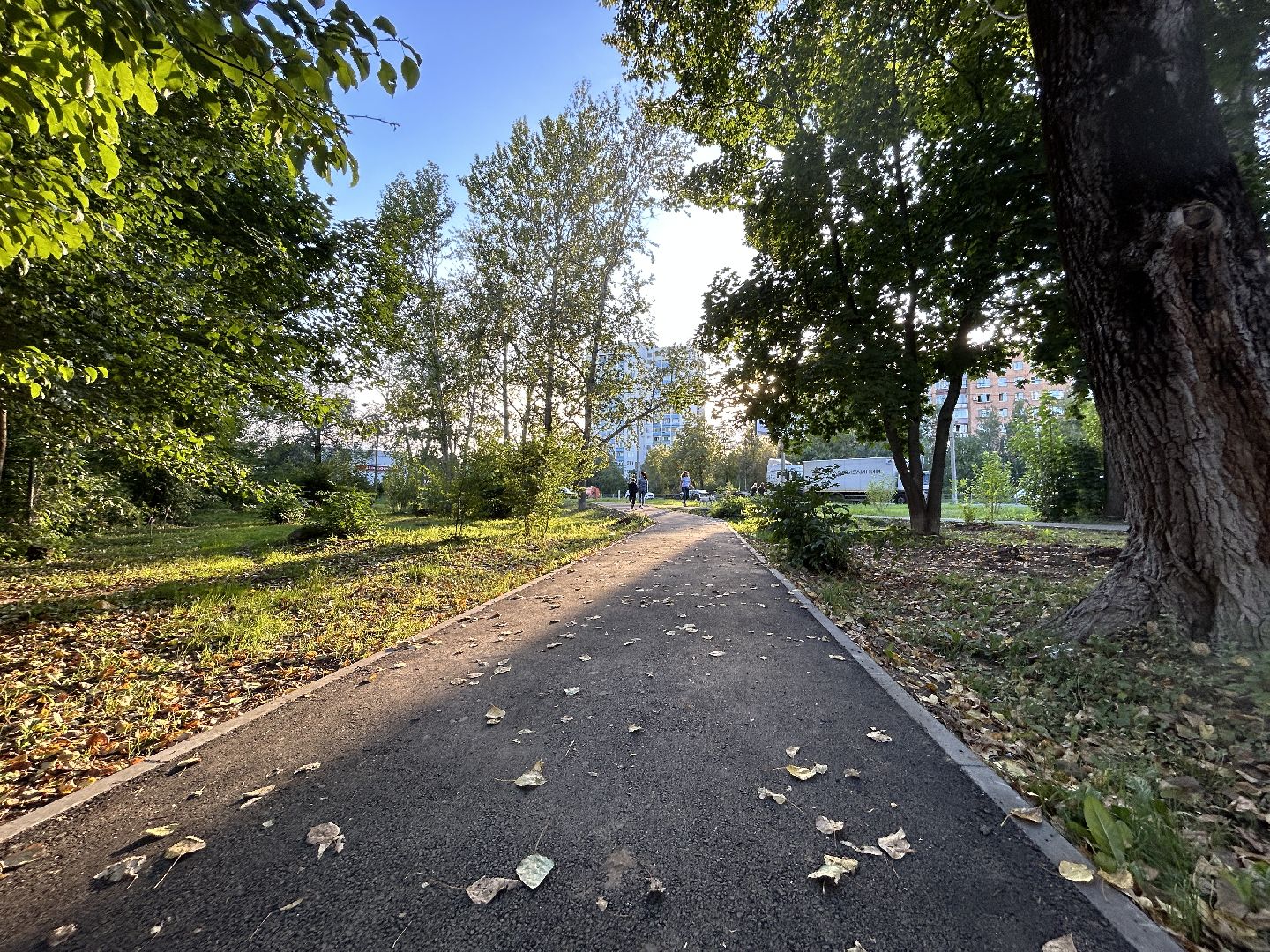 дом культуры, Фрязино