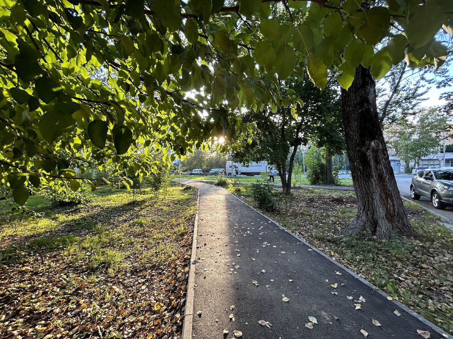 народные тропы, программа губернаторы, Фрязино