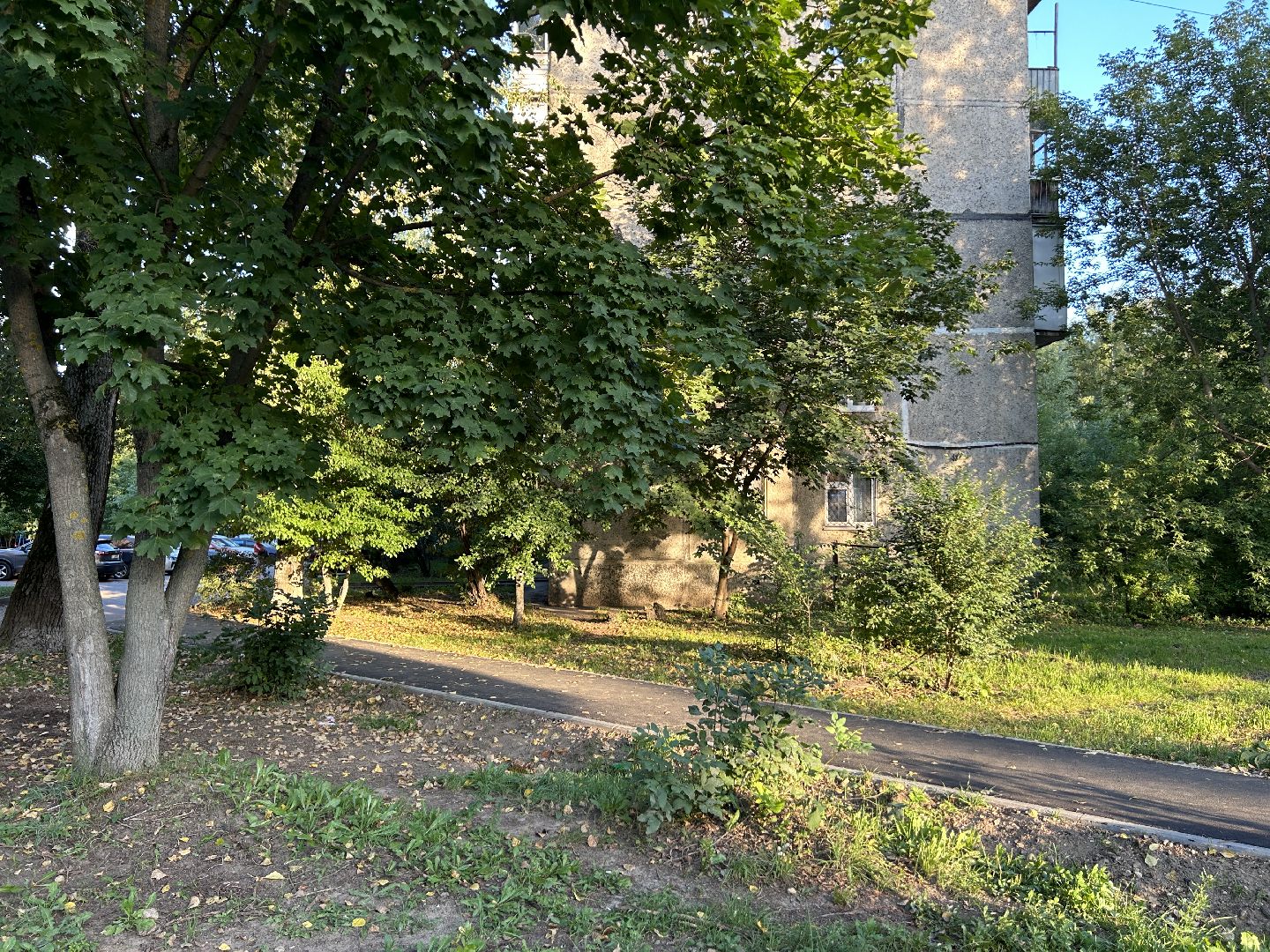 народные тропы, программа губернаторы, Фрязино