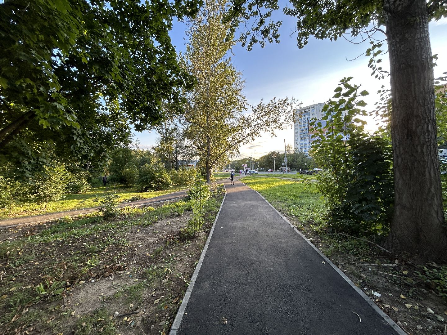 народные тропы, программа губернаторы, Фрязино