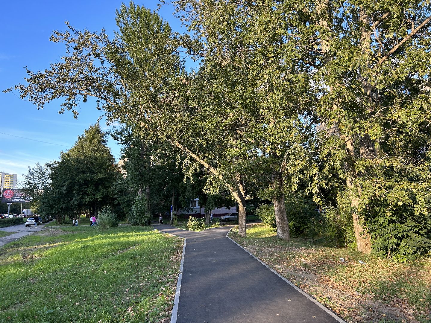 народные тропы, программа губернаторы, Фрязино