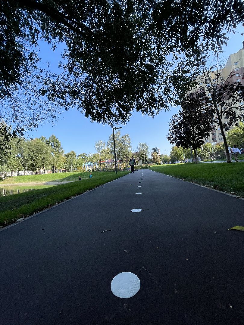 Пруд, благоустройство, пруд, жители