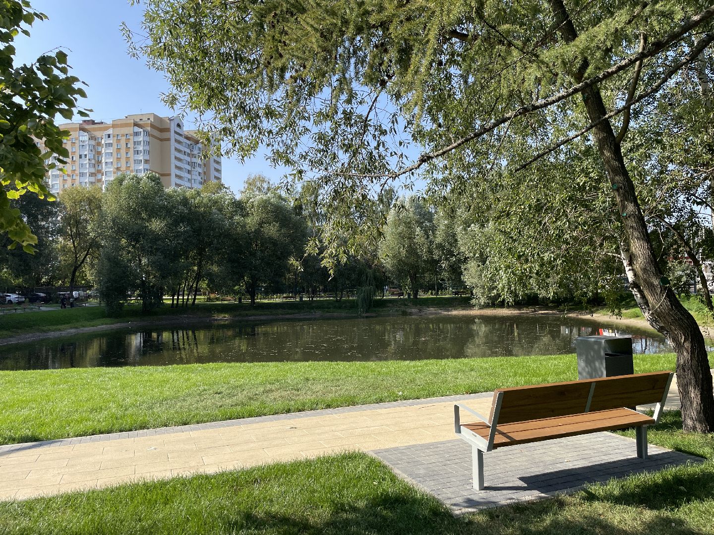 Пруд, благоустройство, пруд, жители