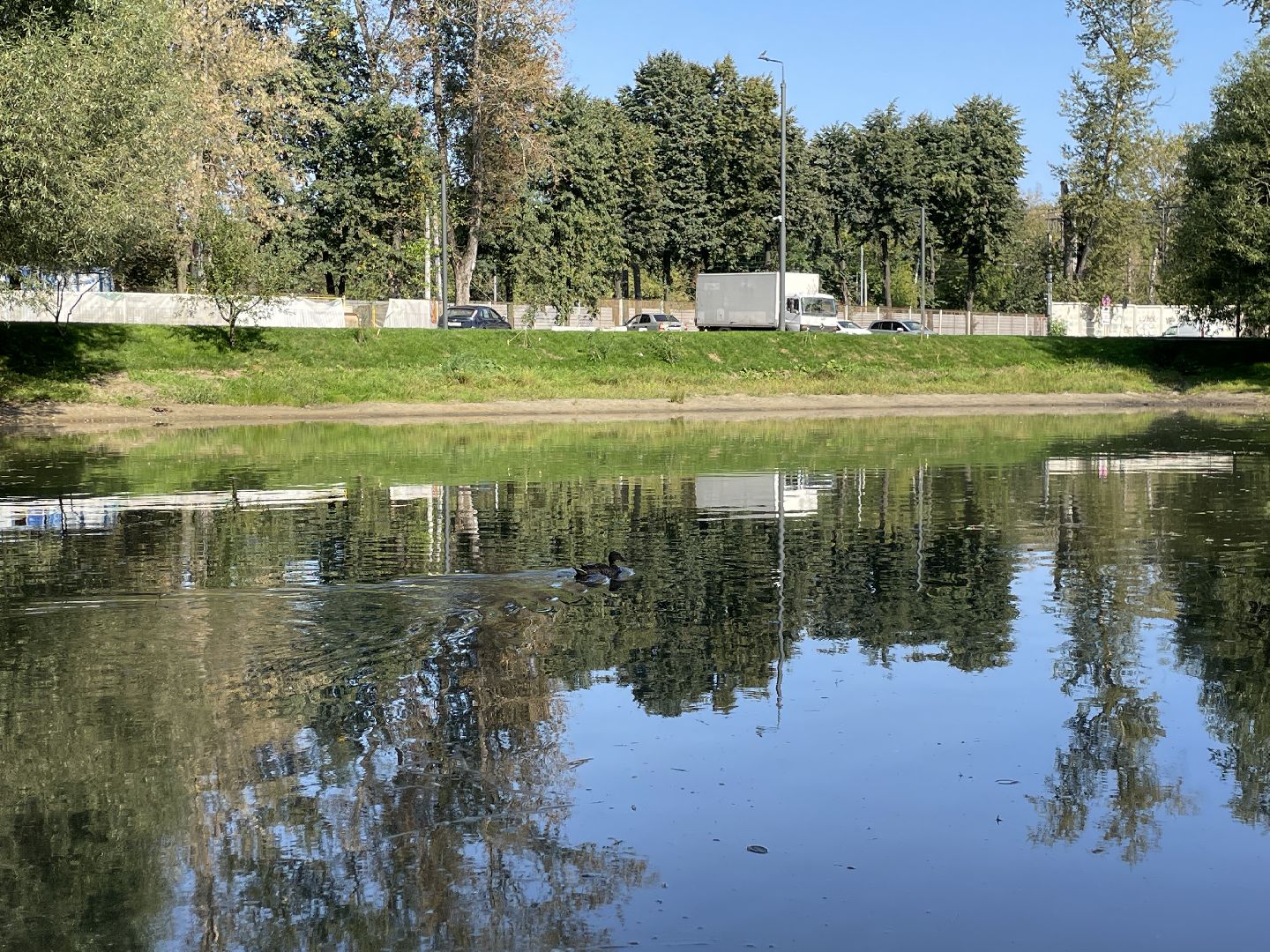 Пруд, благоустройство, пруд, жители