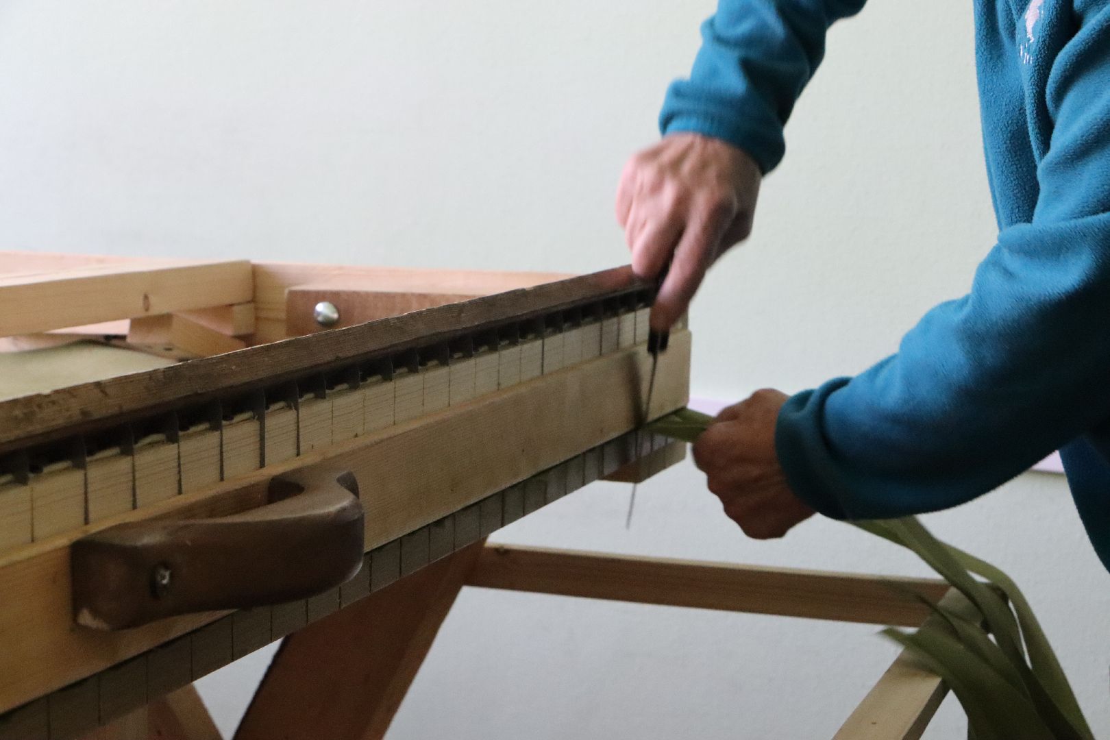 Серебряные Пруды, волонтерство