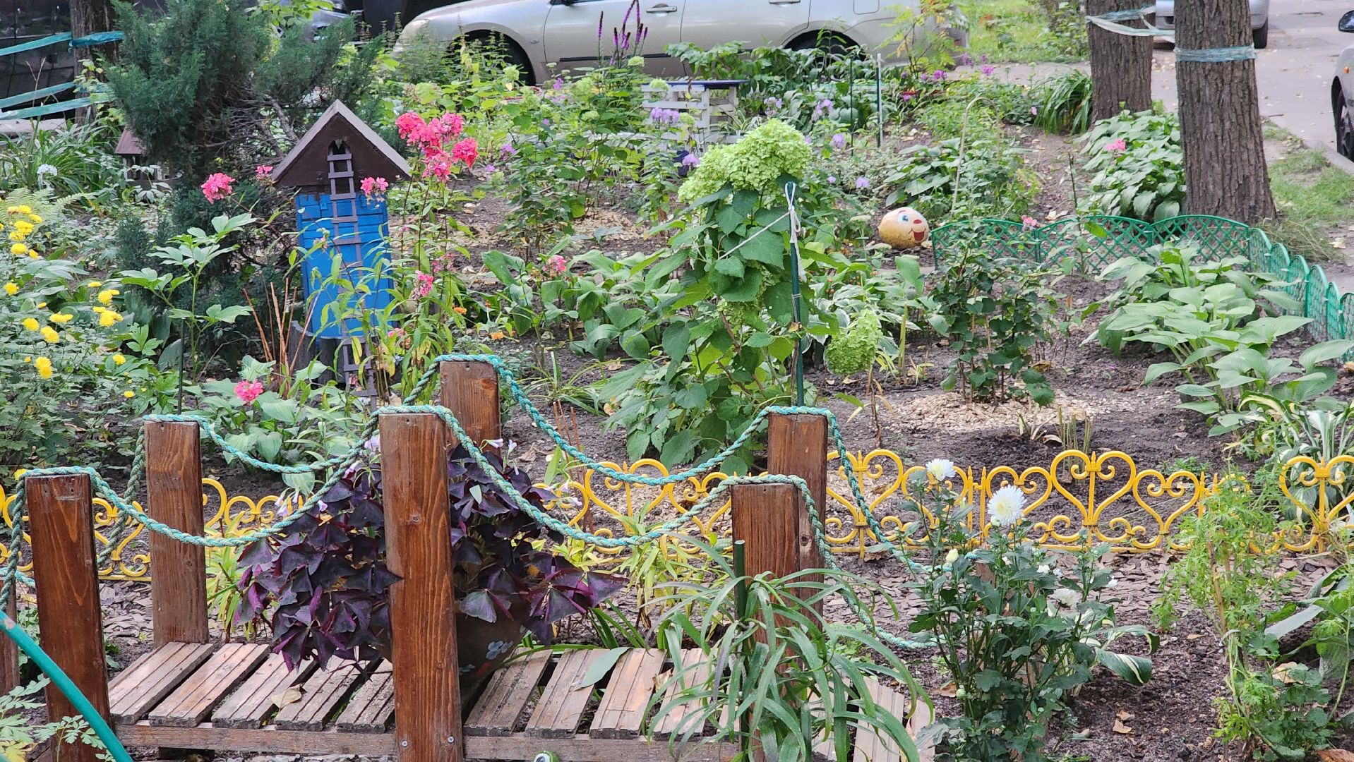 Долгопрудный, цветник, благоустройство