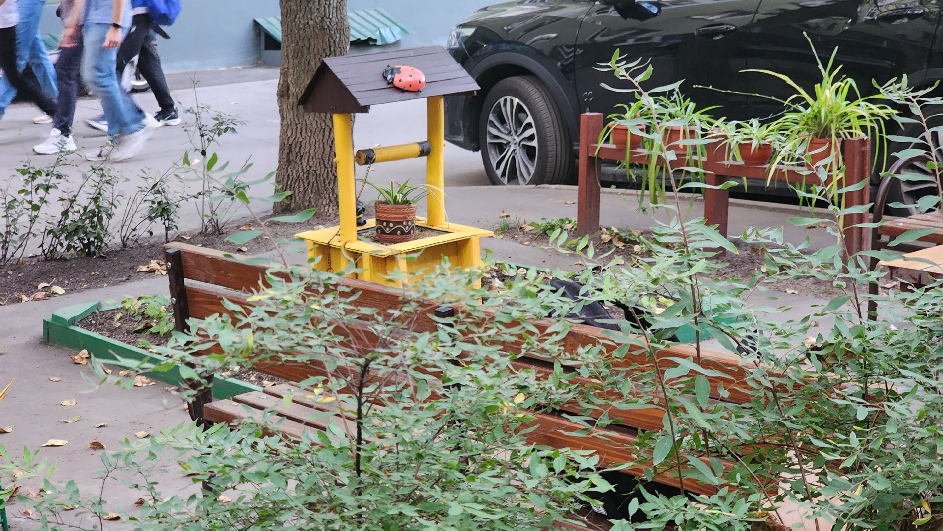 Долгопрудный, цветник, благоустройство