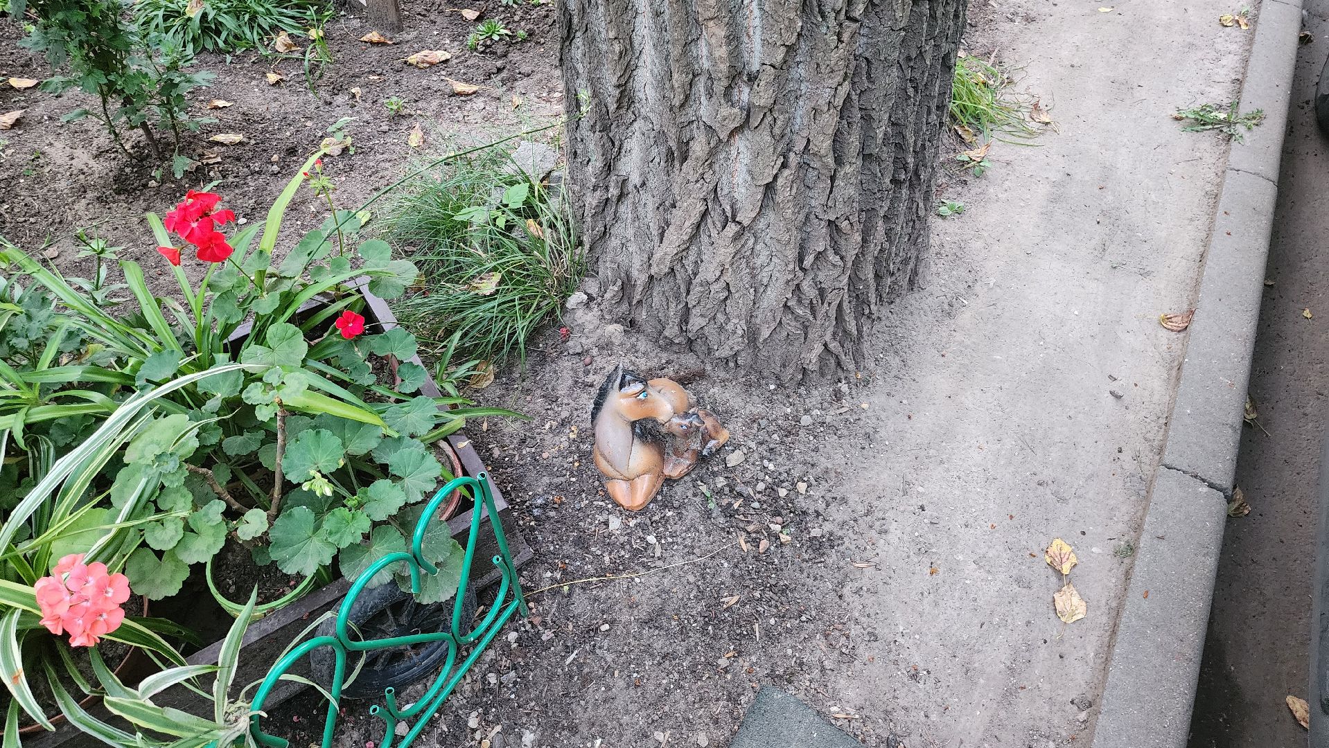 Долгопрудный, цветник, благоустройство