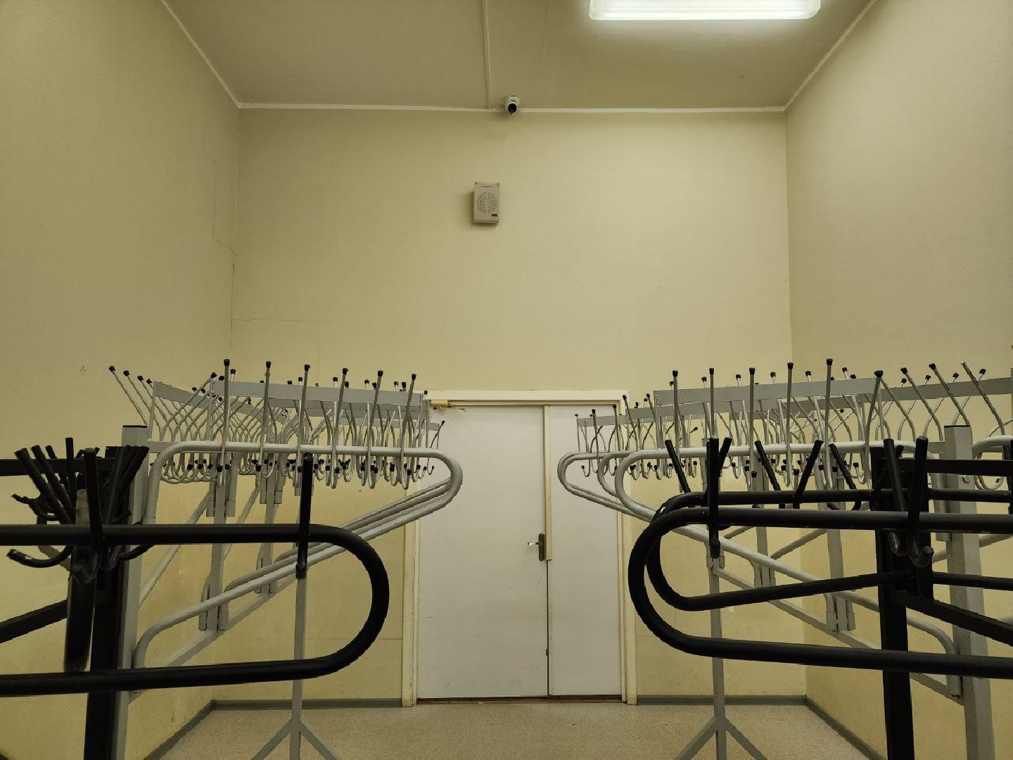 школа, дети, Лосино-Петровский