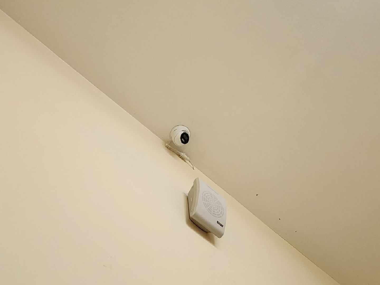 школа, дети, Лосино-Петровский