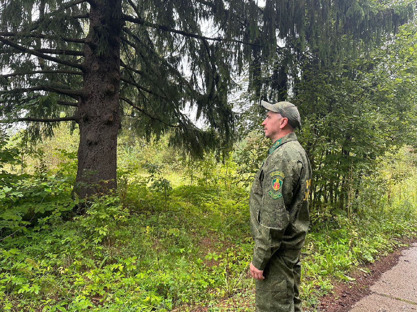 Лесник года, Мособллес, Наро-Фоминск