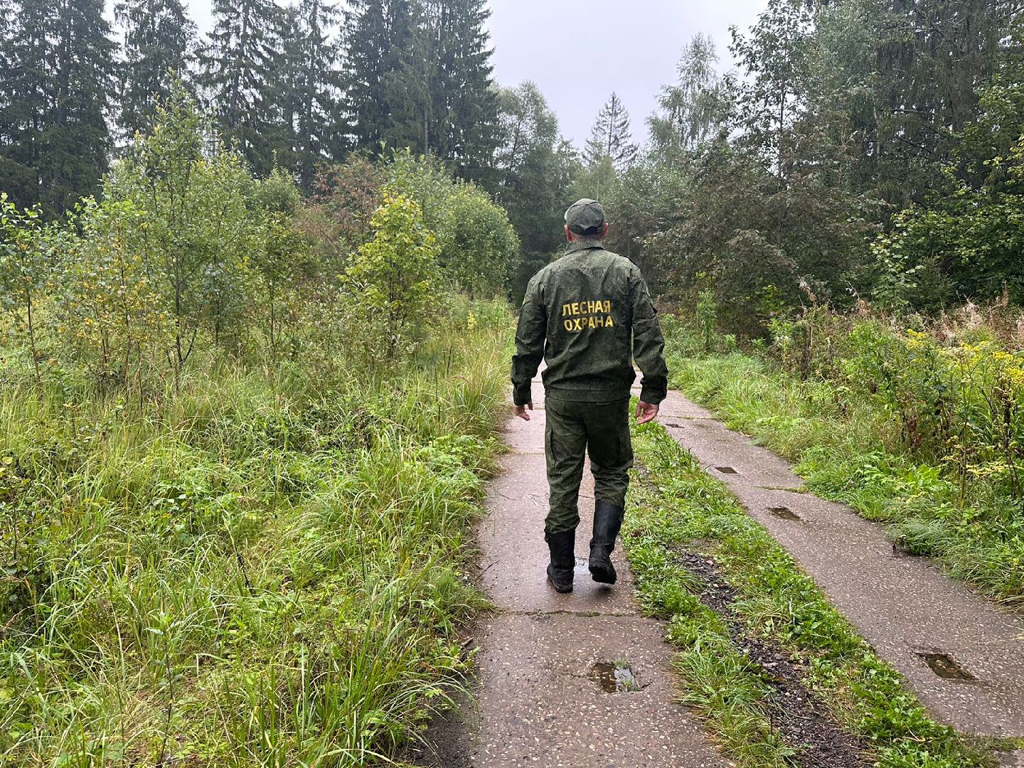 Лесник года, Мособллес, Наро-Фоминск