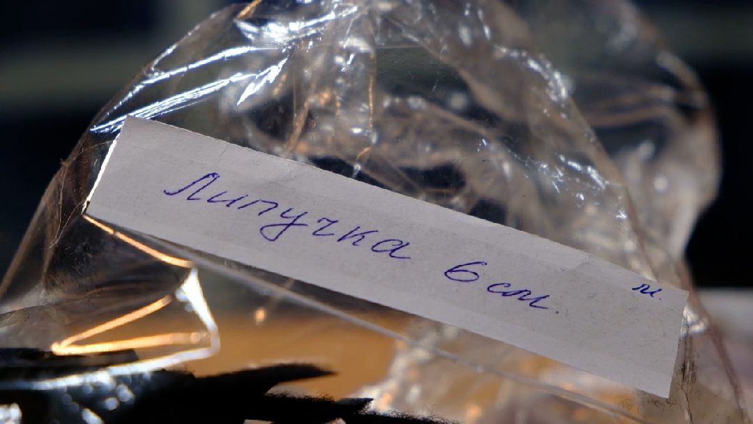 волонтеры, СВО