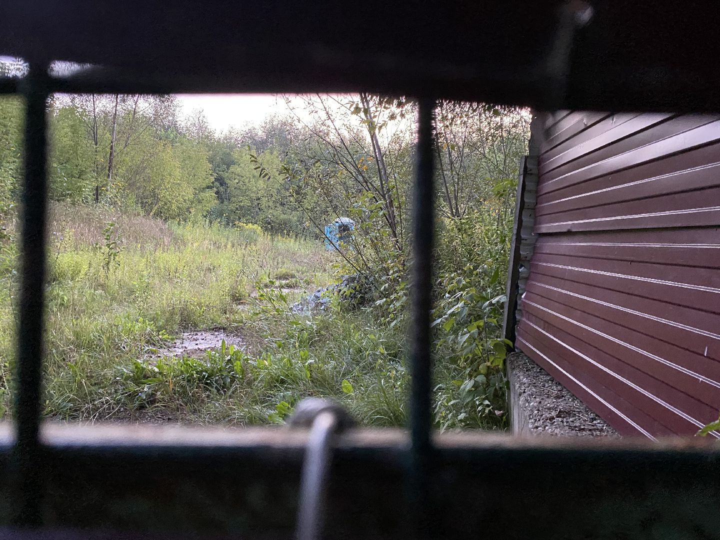 Балашиха, Салтыковка, квартал Акатово, очистные сооружения,