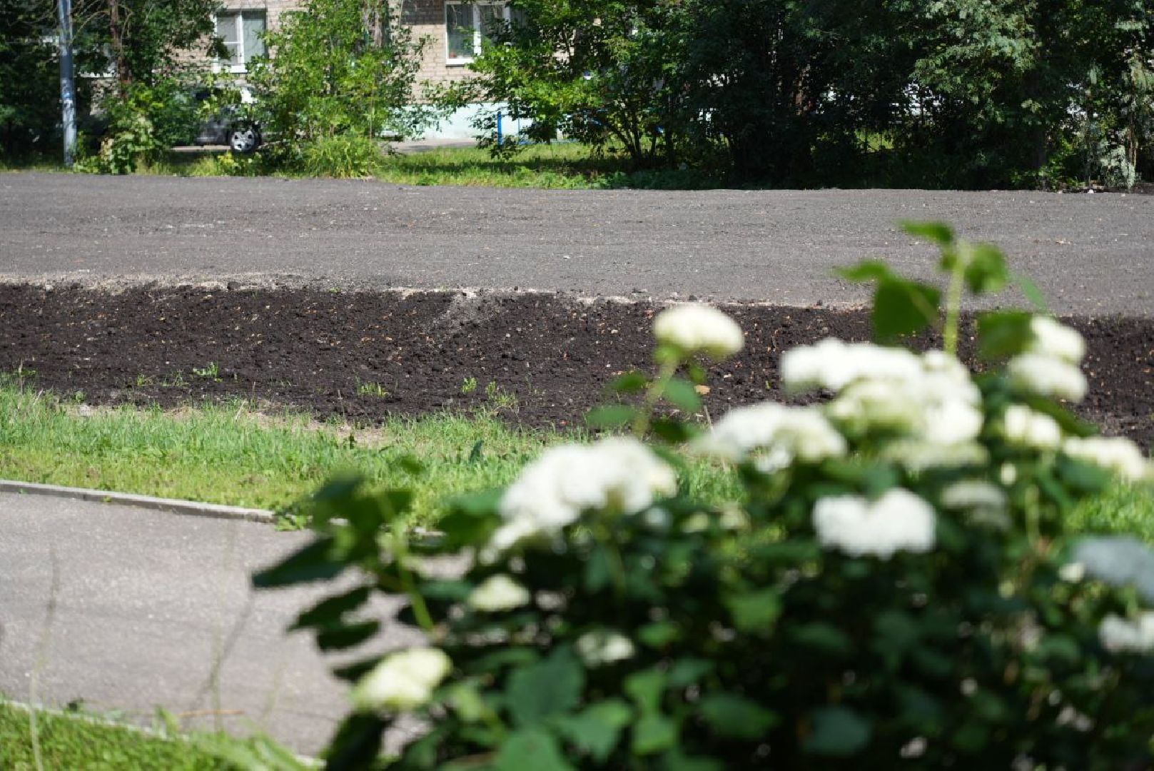 Сергиево-Посадский городской округ, Сергиев Посад, Парковка, По просьбам жителей, Наказы жителей, Водители, Автомобилисты, Медицина