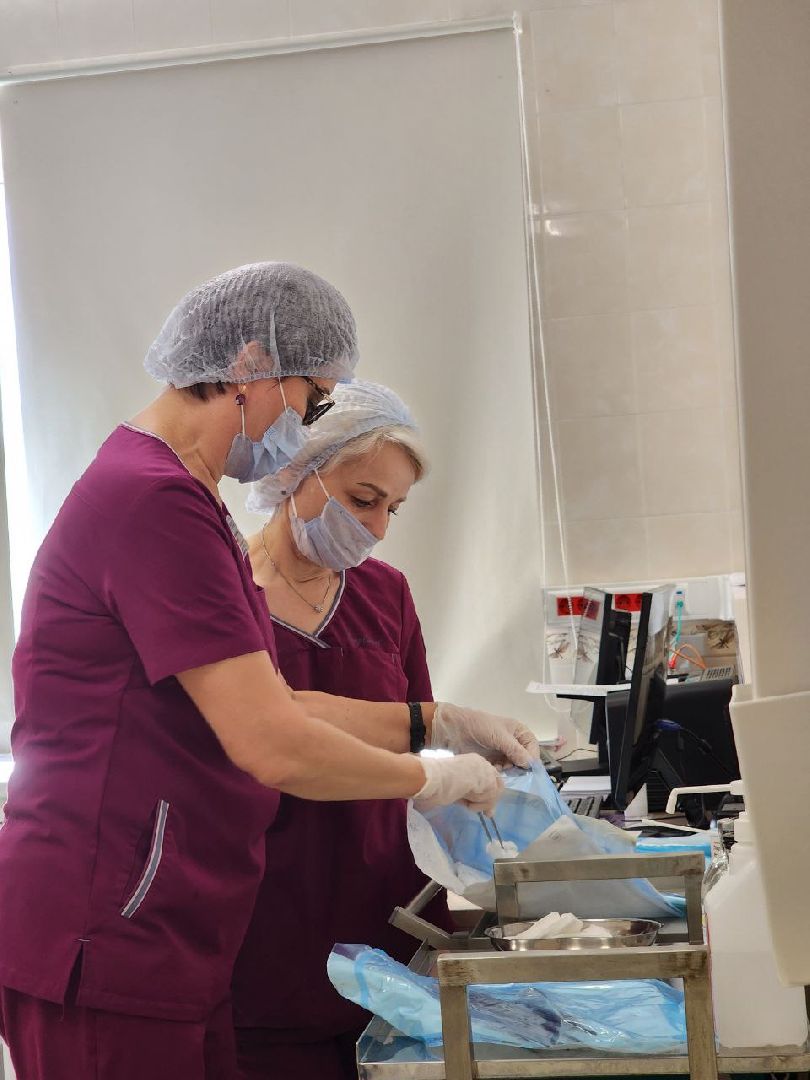 профессия; медицина; юбилей; медсестра