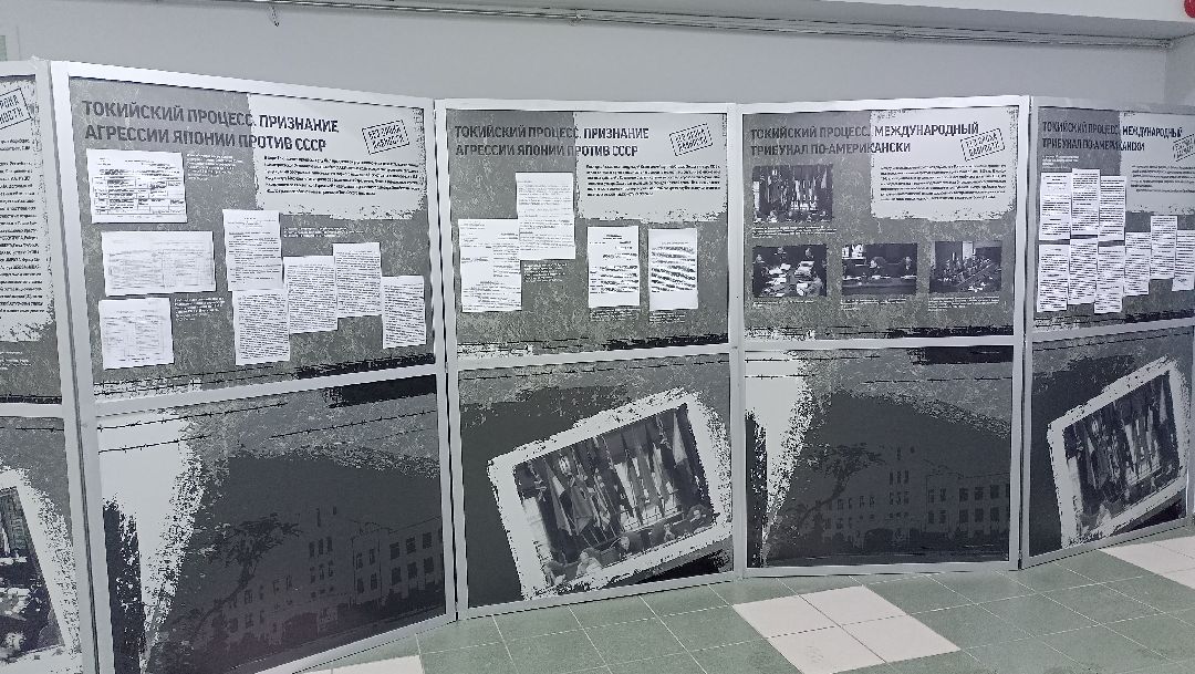 Безсрокадавности, Выставка