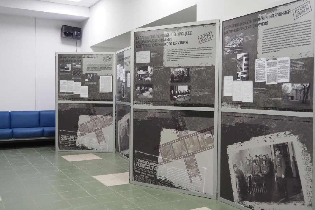 Безсрокадавности, Выставка