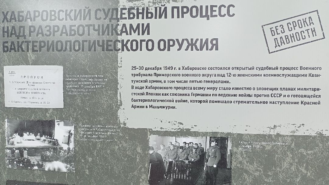 Безсрокадавности, Выставка