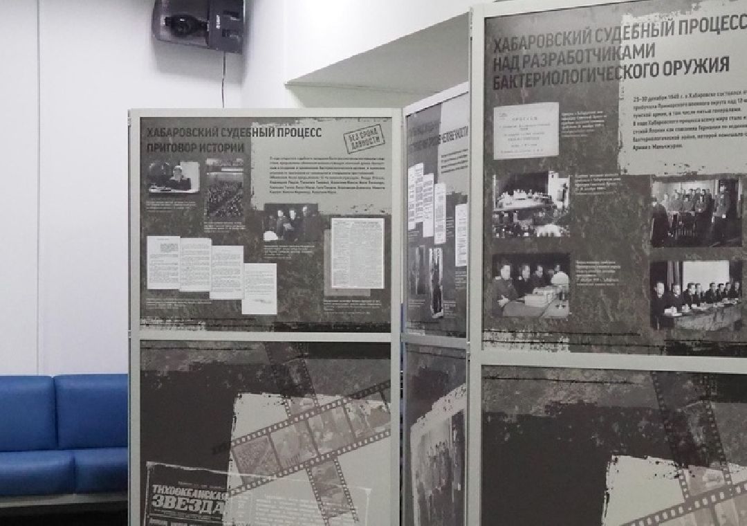 Безсрокадавности, Выставка