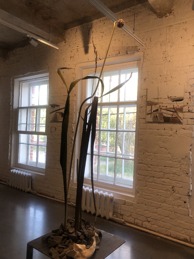 Коломна, культура