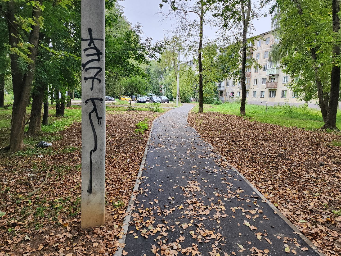 народная тропа, благоустройство, серпухов, улица горького, строительство дорог,