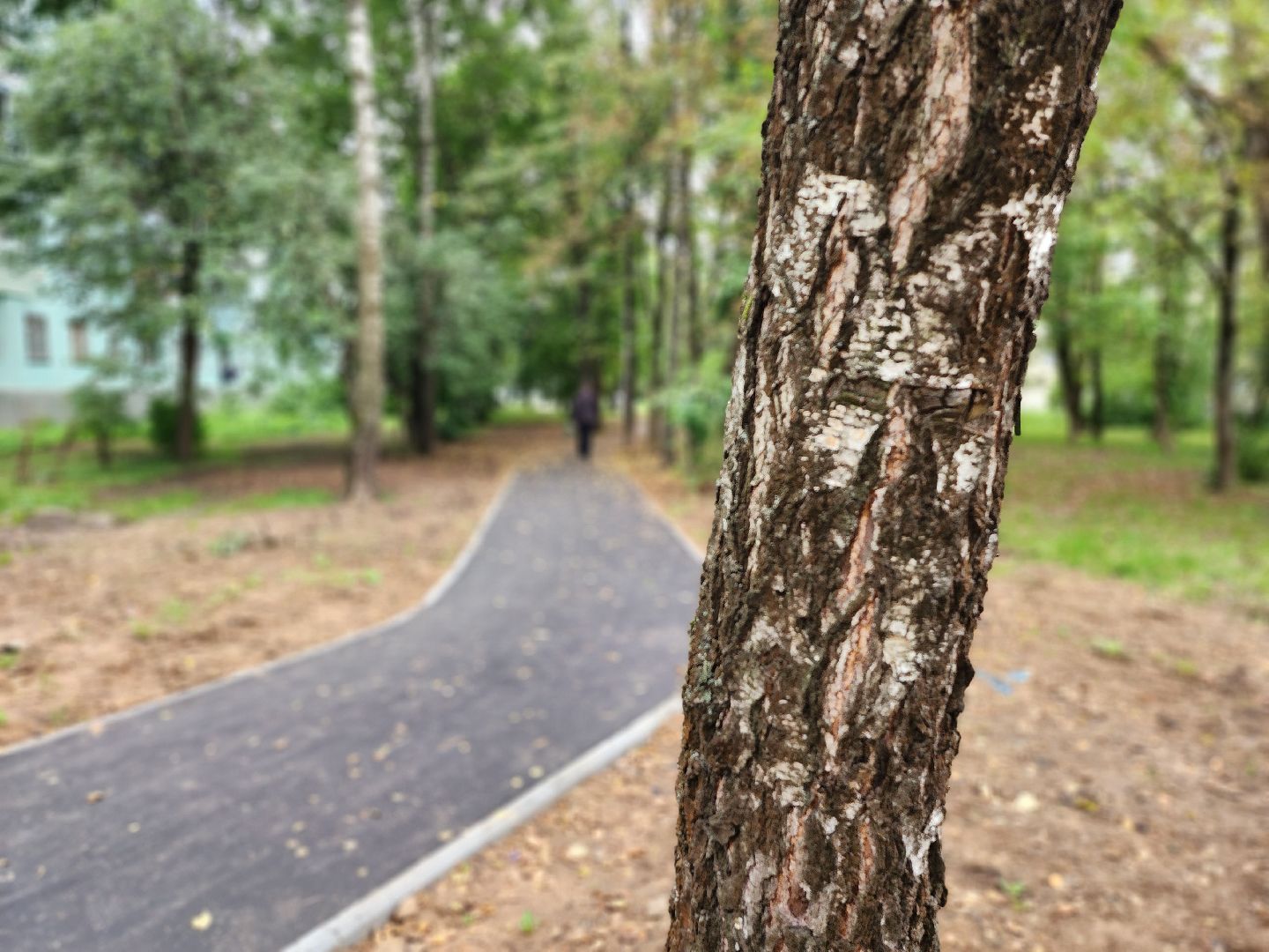 народная тропа, благоустройство, серпухов, улица горького, строительство дорог,