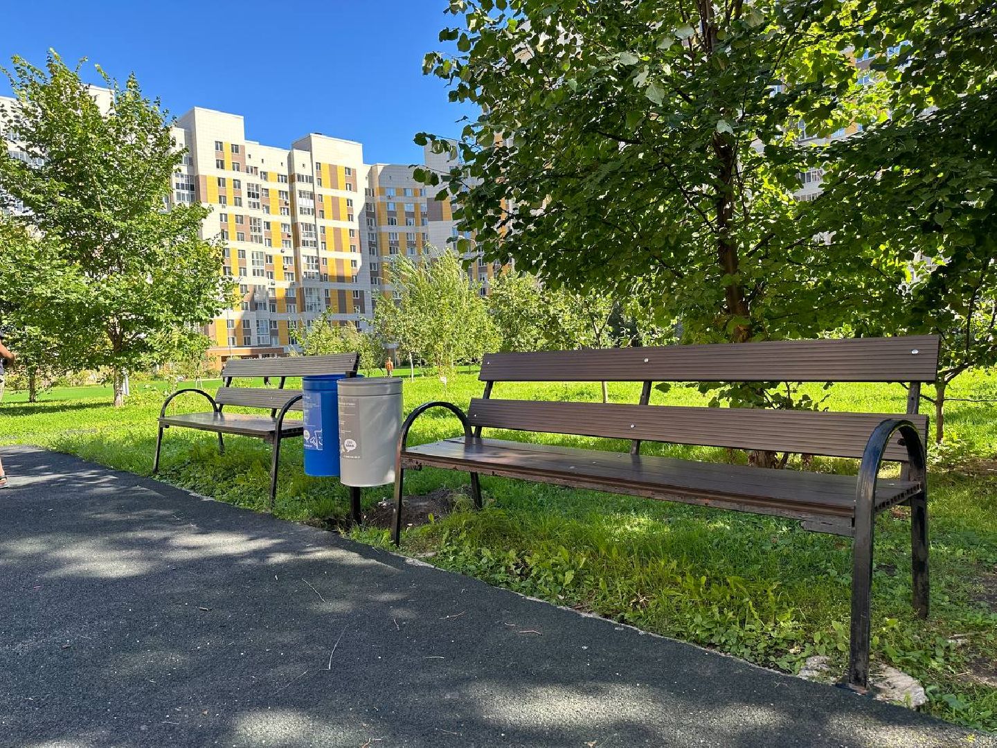 Реутов, образование, стадион, реконструкция