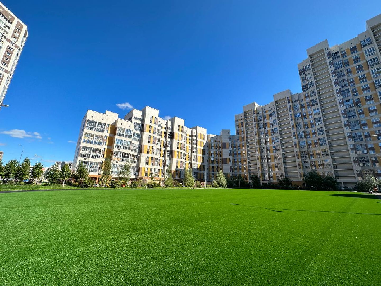 Реутов, образование, стадион, реконструкция