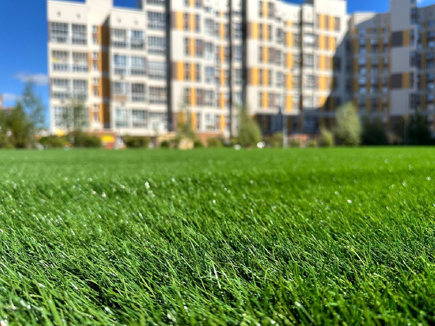 Реутов, образование, стадион, реконструкция