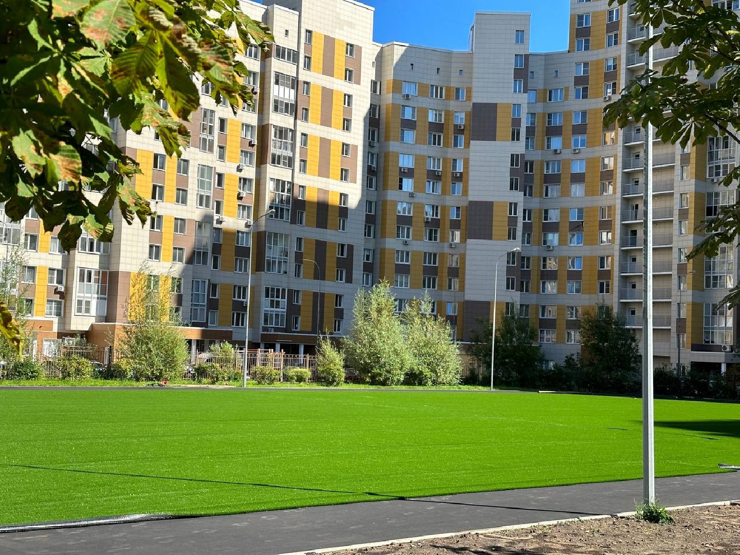 Реутов, образование, стадион, реконструкция