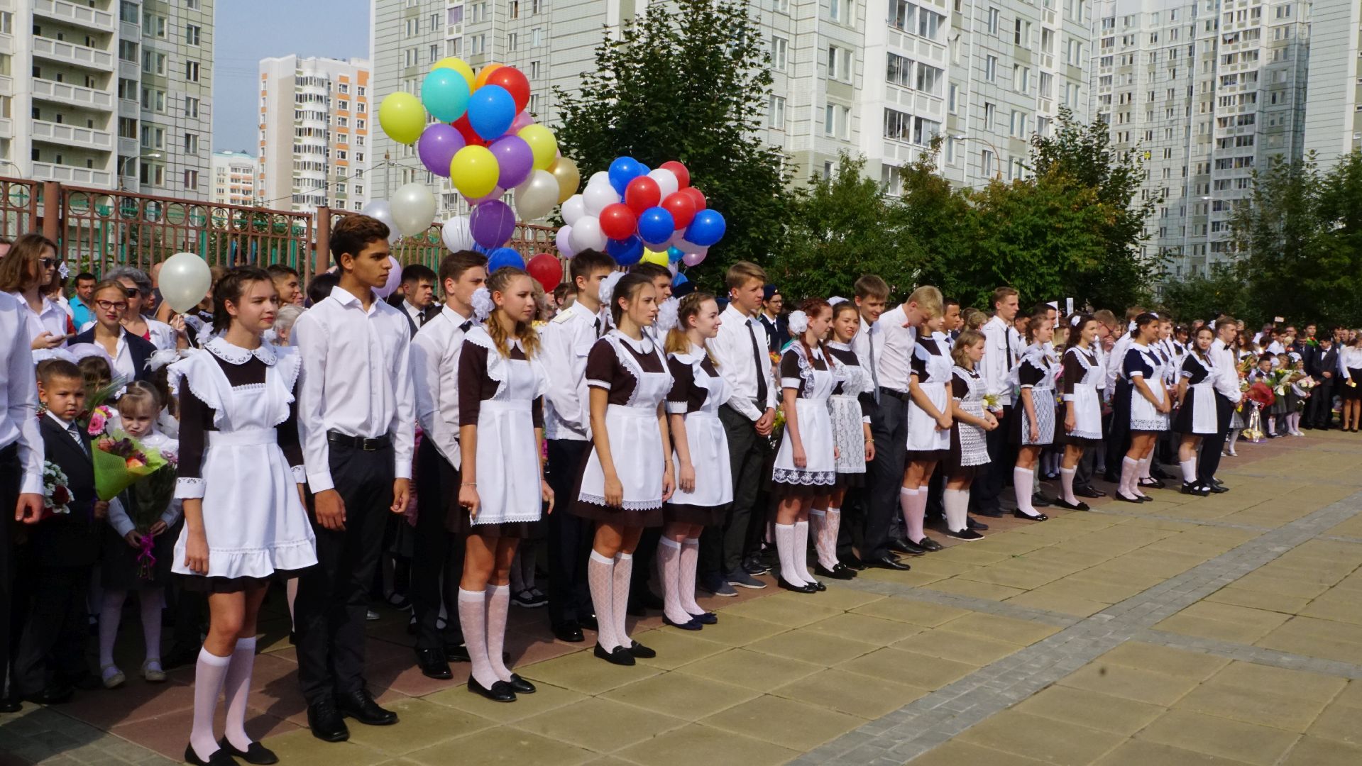 Школы, кружки