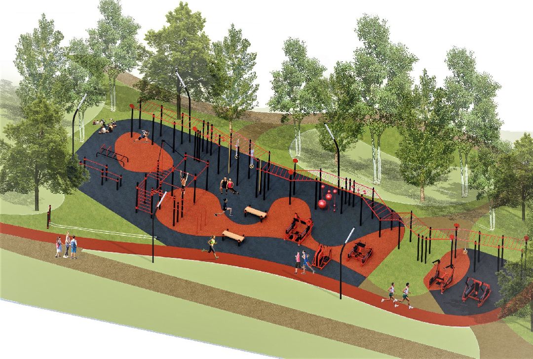 благоустройство, парк, арт-объект, деревья, облепиха, облепиховый сад, Реутов